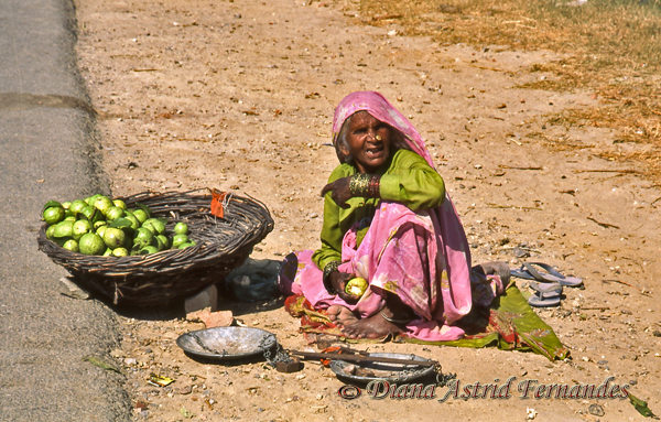 India-the-roadside-fruit-seller